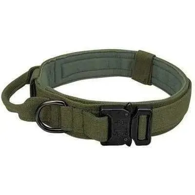 Elite Guardian Military Dog Collar & Bungee Leash Set