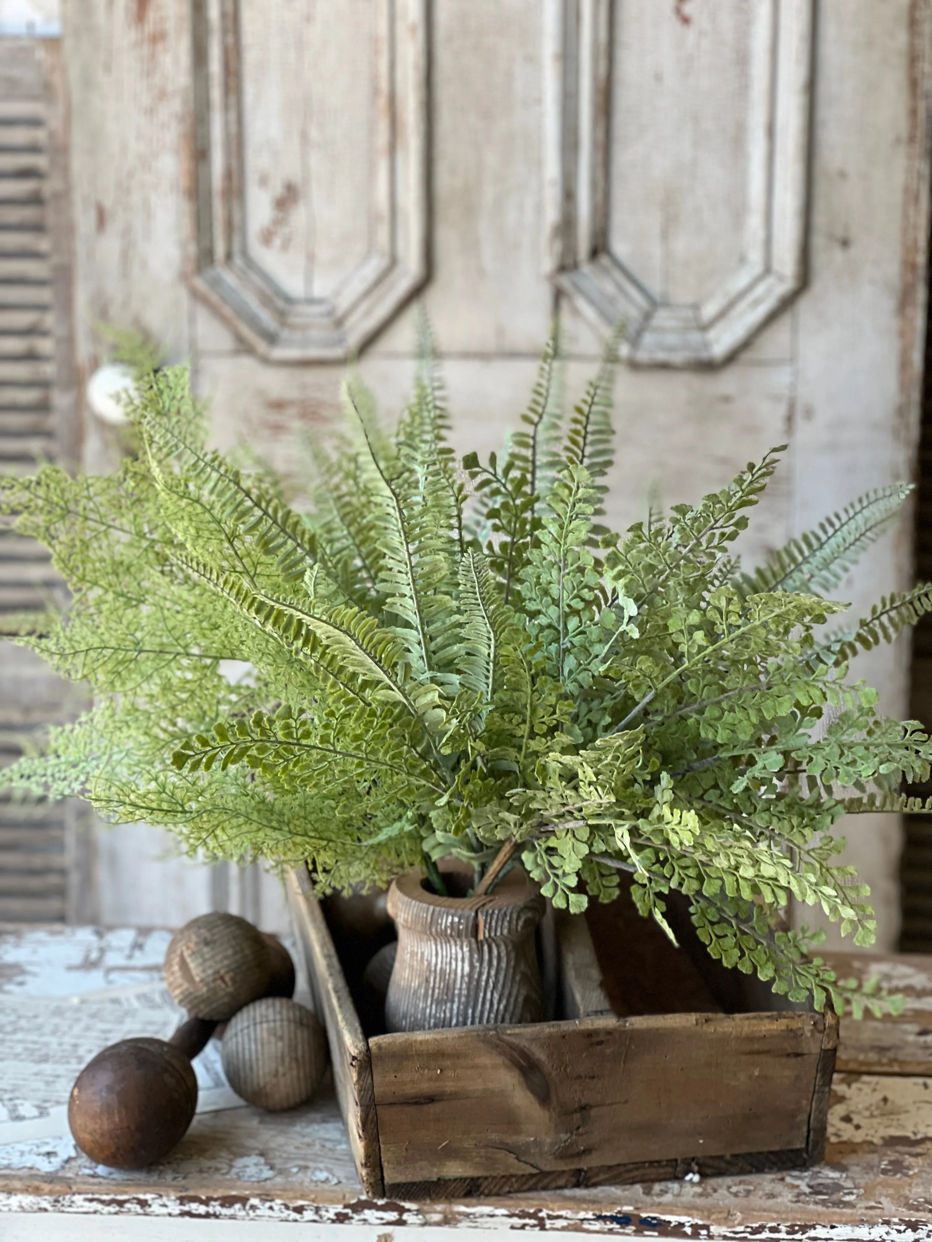 Shadwell Fern Bush | 20" | Scallop | NOT CURRENTLY IN STOCK-New For Spring 2025!