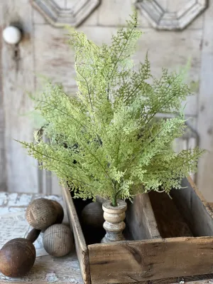 Shadwell Fern Bush | 20" | Scallop | NOT CURRENTLY IN STOCK-New For Spring 2025!