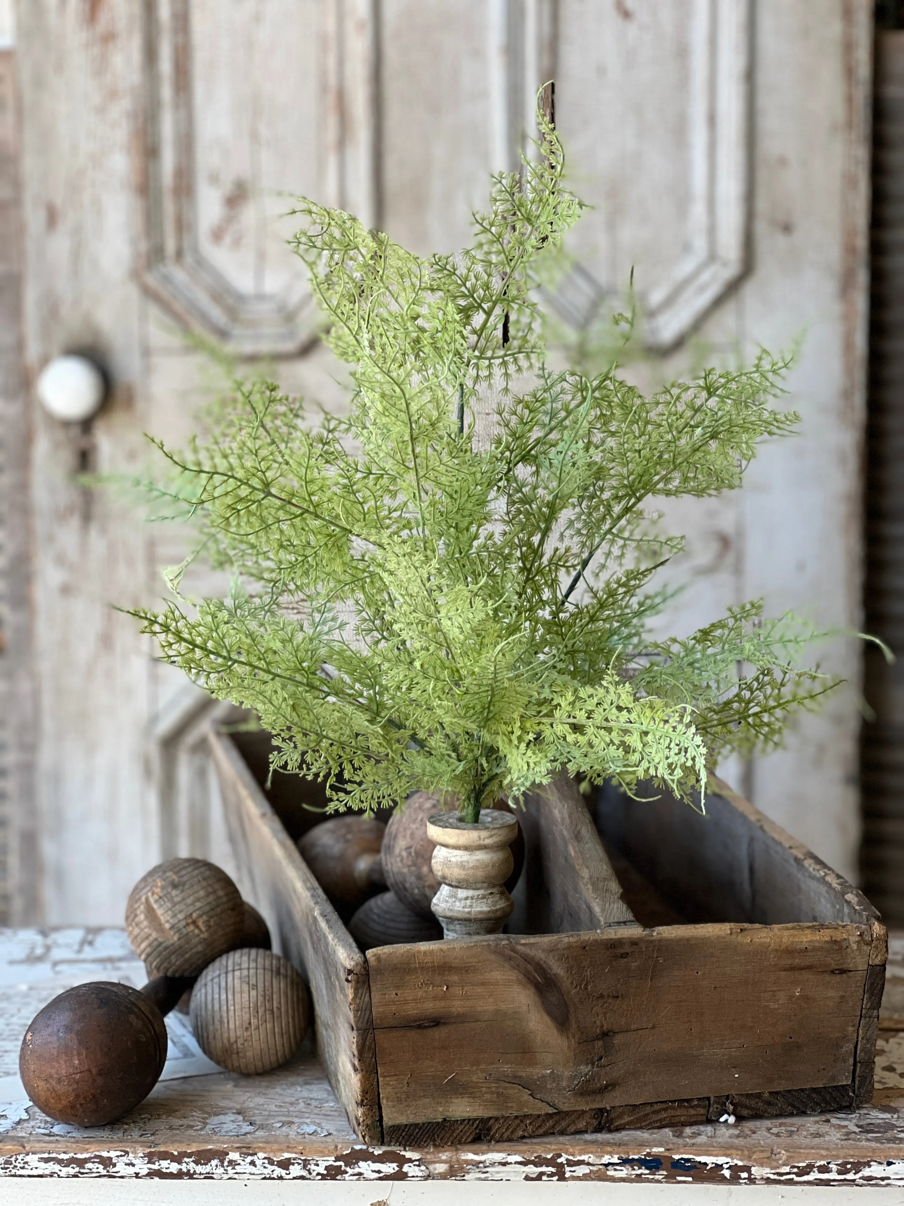 Shadwell Fern Bush | 20" | Scallop | NOT CURRENTLY IN STOCK-New For Spring 2025!